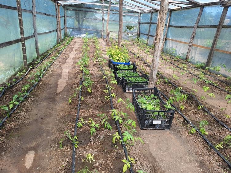 Vand casa de caramida cu teren comuna Stancuta jud Braila - 7