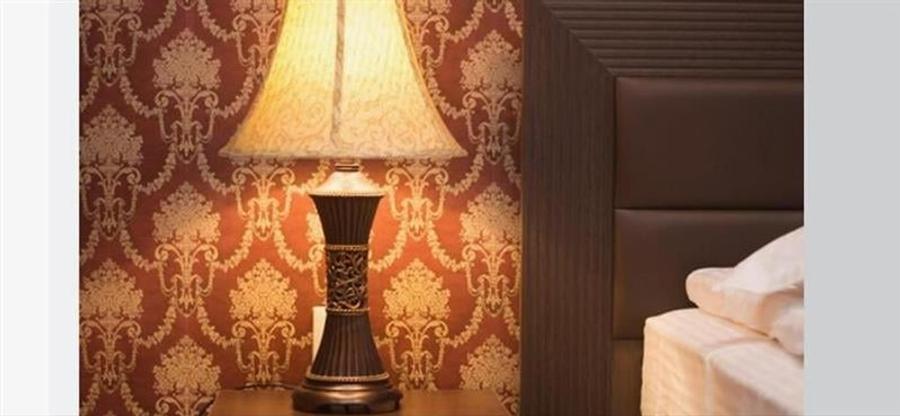 Eleganta si stil, in peisagistica montana, Rezidential/ Pensiune, Predeal, Braso - 35