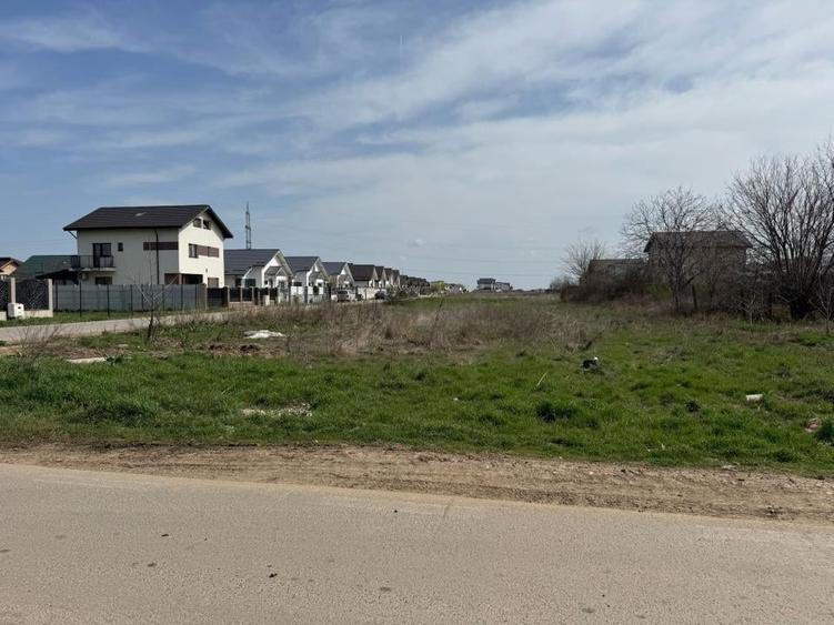 Teren intravilan situat in Orasul Berceni - 1