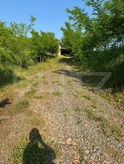 Casa de vanzare in Petrilaca - 5