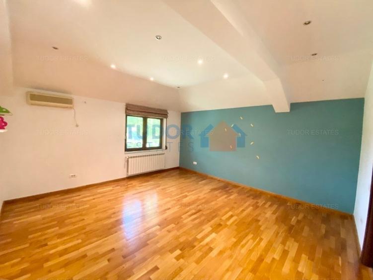 Vila cu piscina Iancu Nicolae - 12