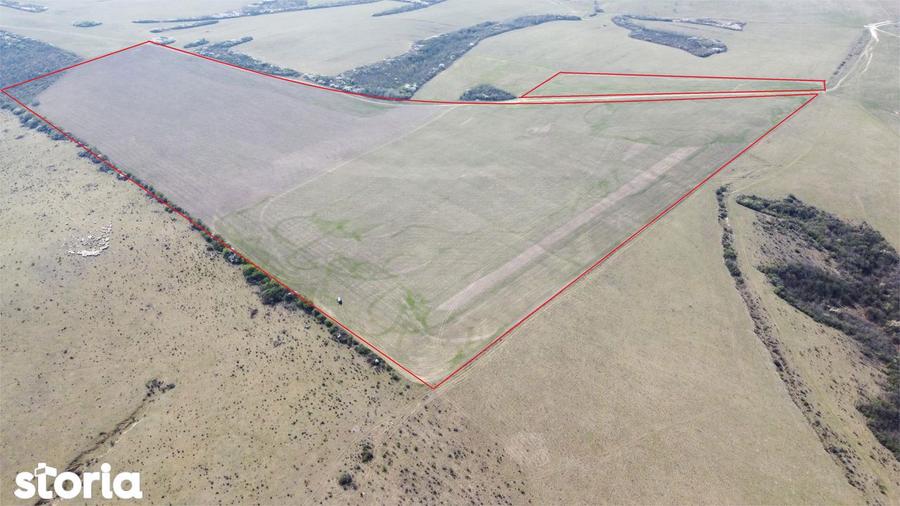 Teren 26.82 ha Ardud | Oportunitate pentru dezvoltare - 8