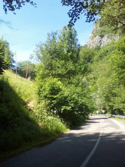 Teren Valea Cernei Baile Herculane - 3