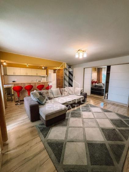 Apartament 2 camere zona Torontalului,centrala proprie,AC,Pet friendly - 2