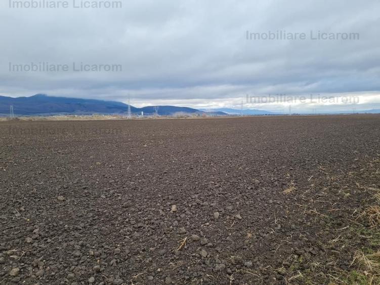 Teren extravilan 2,9 HA,intre Cristian si Vulcan - 4