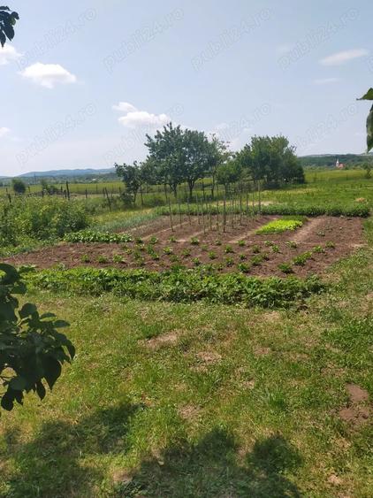 Vand casa Ru?ii Munti - 3