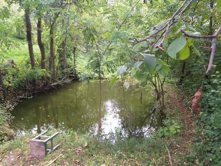 Teren de vanzare - Baicoi(Central) (intre case,gaze,curent,canalizare) - 5