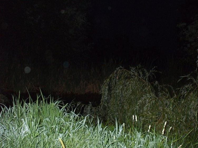 Casa de vanzare Albestii-Arges - 32