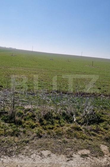 Teren intravilan cu o suprafata 1500 mp in zona Metro - 3