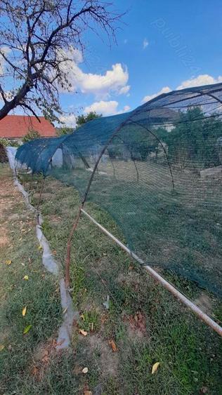 De vanzare casa, curte ?i gradina in Ora?tie - 2