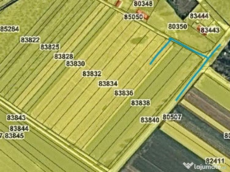 Vand Teren INTRAVILAN 4000mp - Leordeni, Arges - 2