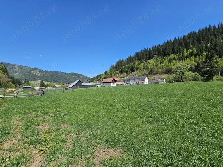 Teren de vanzare in Bucovina zona Pojorata pe Transrarau - 10