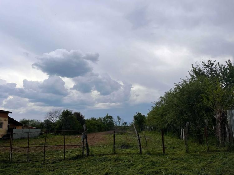 teren de vanzare - 4