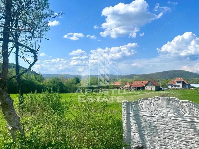 Teren intravilan, partial imprejmuit, eligibil grant- Pojoga, com. Zam - 1