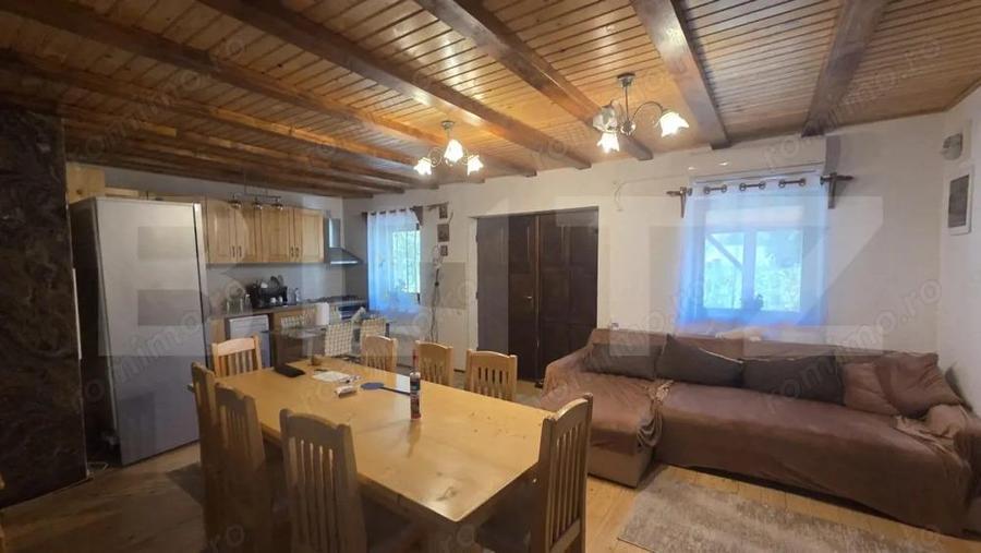 Casa de vacanca cu potential turistic, 1603 mp teren, Cernatesti - 3