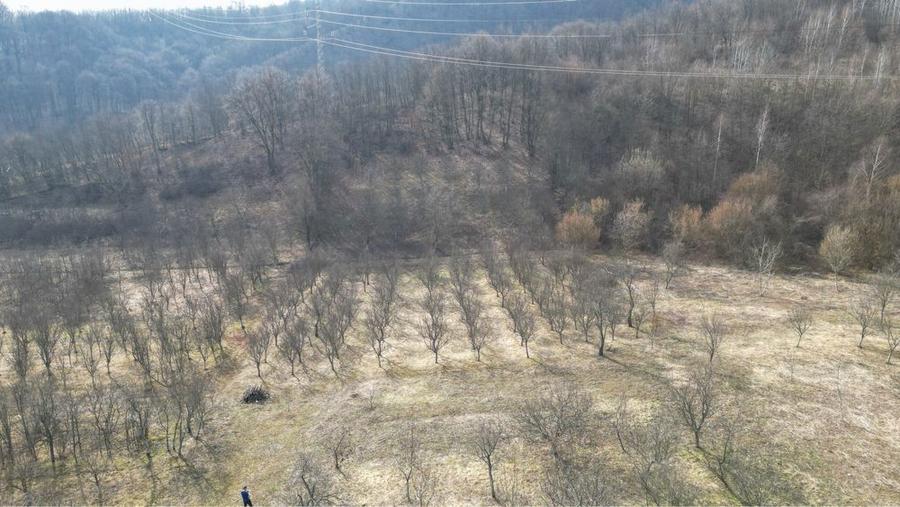 Teren intravilan Valea Cenchi constructii case pensiune caransebes - 4