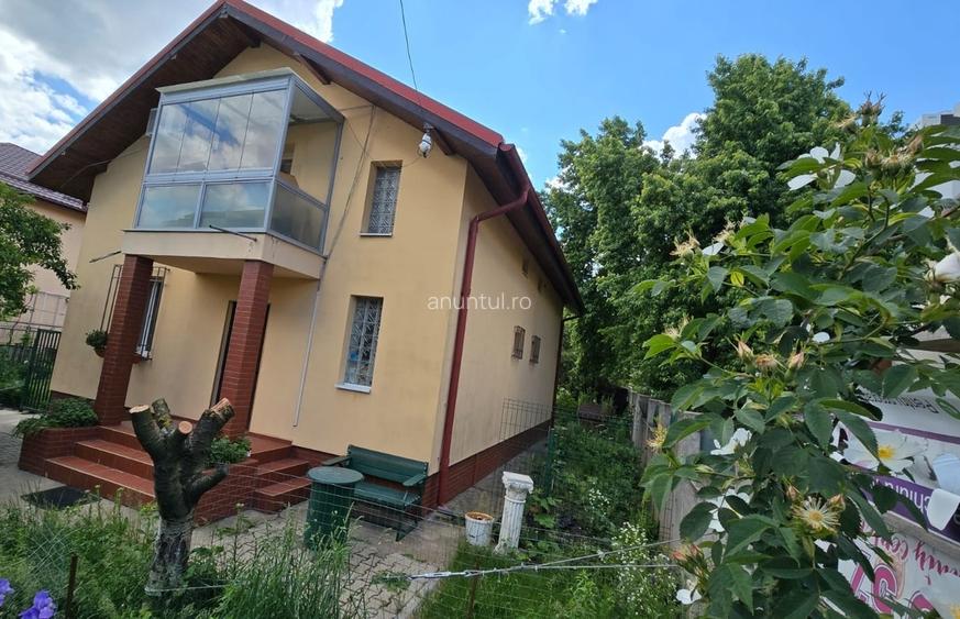 Drumul Taberei- Brancusi