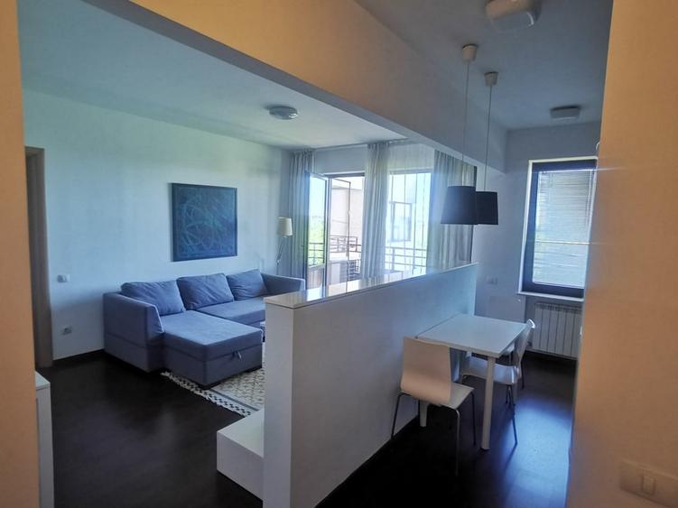 Băneasa, Ale. Privighetorilor-ZOO- etaj 4/7, 2 bai,terasa, mobilat, parcare. - 3