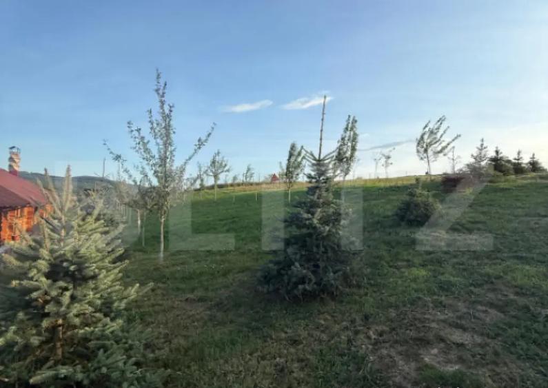 Cabana din lemn rotund, 2 camere, 140 mp, teren 2800 mp, Pal - 6