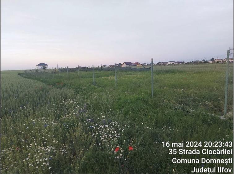 Vand Teren Intravilan Domnesti - 1