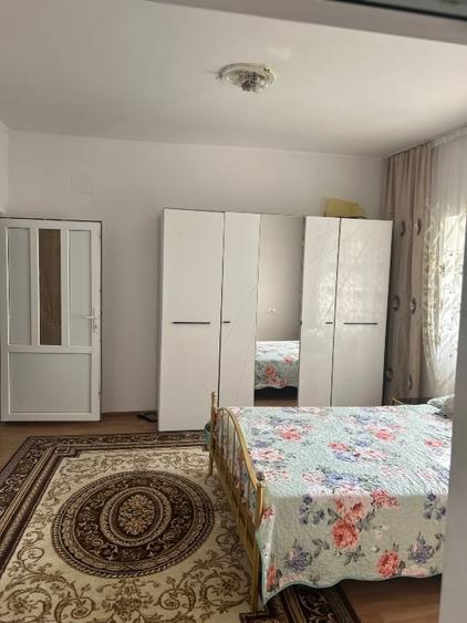 Casă de vânzare Gătaia - 9