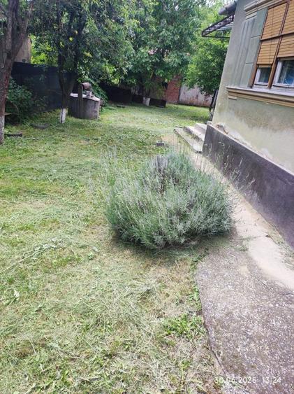 Vand casa la tara, in localitatea Ciugudu de Jos,Unirea, jud .Alba . - 2