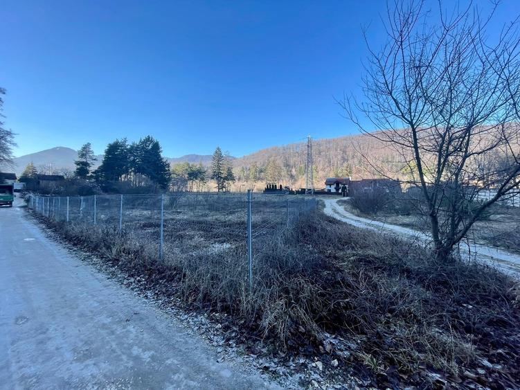 Teren Bunloc 500mp ! - 3