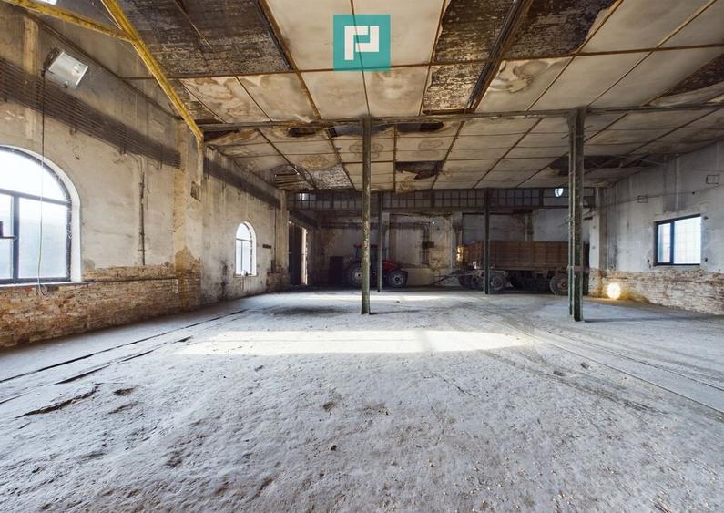 Teren ?i hale pe Calea Aradului din Periam - 10