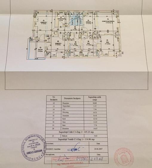 Jiului-Coralilor-Damaroaia,eleganta,robusta,garaj,curte intima,vegetatie matura - 46