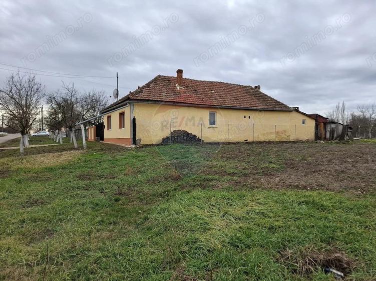 Teren intravilan 1,241mp Frumu?eni, Arad - 2