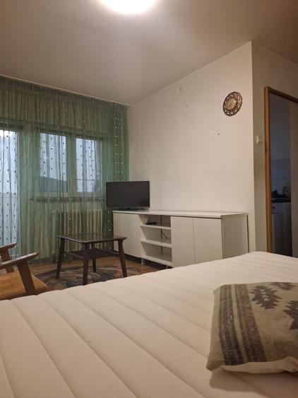 Tineretului, garsoniera, 10 min metrou, BOILER, bloc mixt, PET  FRIENDLY - 3