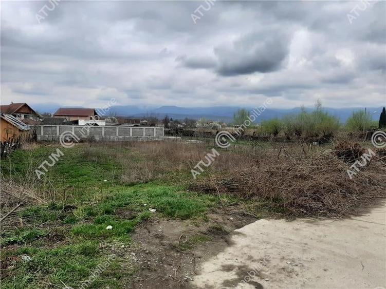 Teren intravilan 1300 mp de vanzare pe Valea Avrigului, drum asfaltat - 6