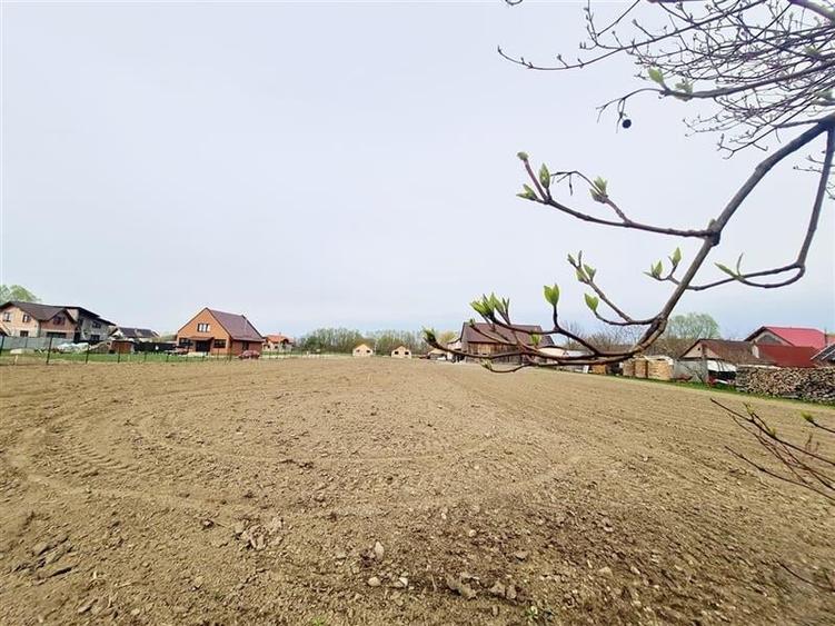 1.700mp intravilan,acces usor,intre case,ideal 2 locuinte/investitie,Lunca Calni - 9