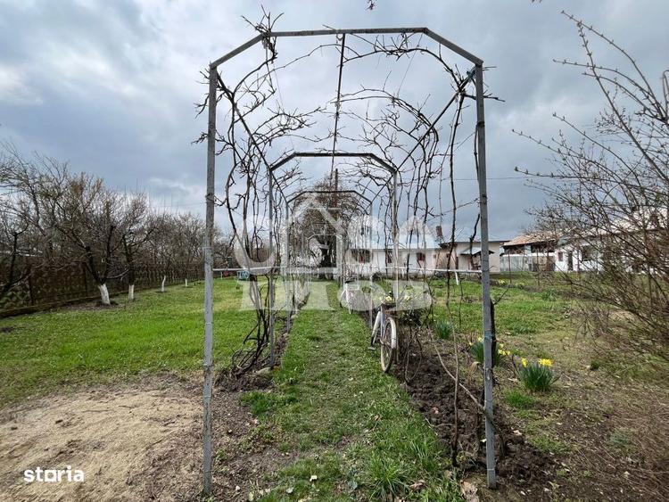 Casuta din lemn de weekend sau casa de vacanta cu teren si livada - 4