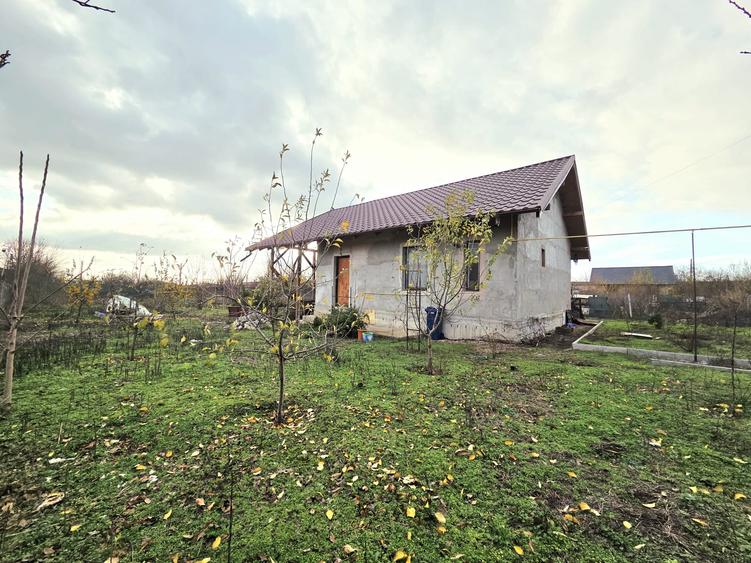 Casă pe structură de lemn Construcție modernă, eficientă și durabilă la Schela - 1