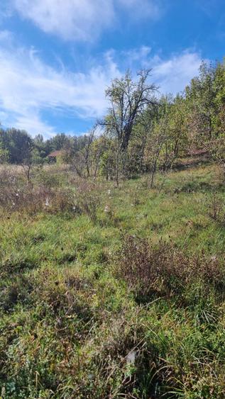 Vand salas in comuna Sichevita - 6