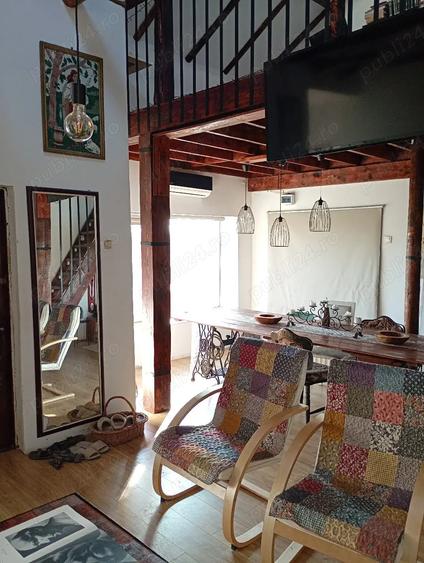 Domeniu cu 24000 mp adica 2,4 hectare - 5