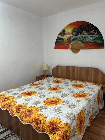 Apartament de inchiriat zona Decebal - 9