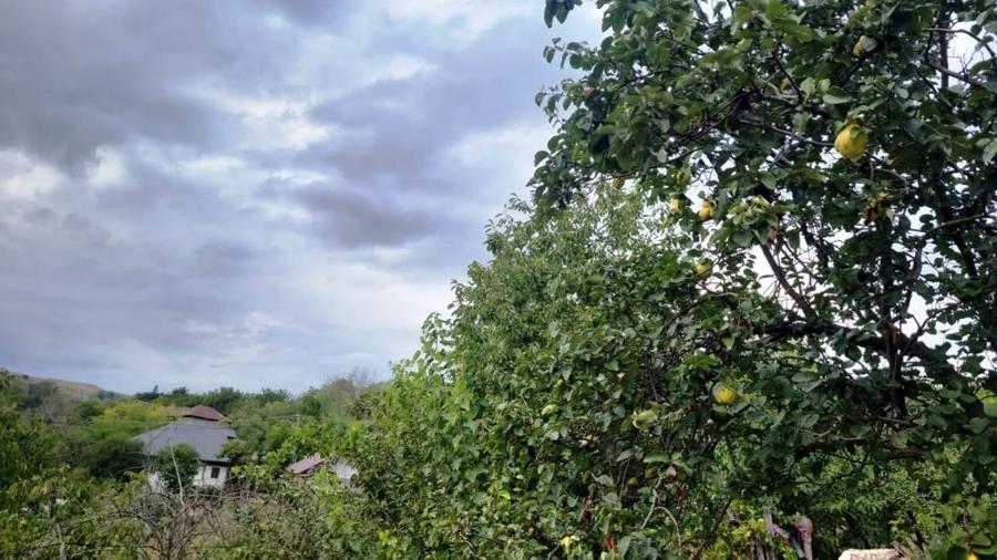 Proprietate în zonă de deal în localitatea Zărnești, la 20km de orașul Buzău - 4