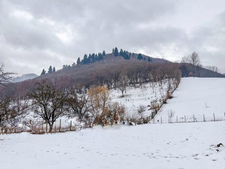 Teren intravilan 2300 mp Paltinis-Valea Stezii Sibiu - 1