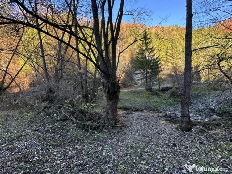 Teren 2.882 mp oportunitate investitie - Cheile Dambovi - 9