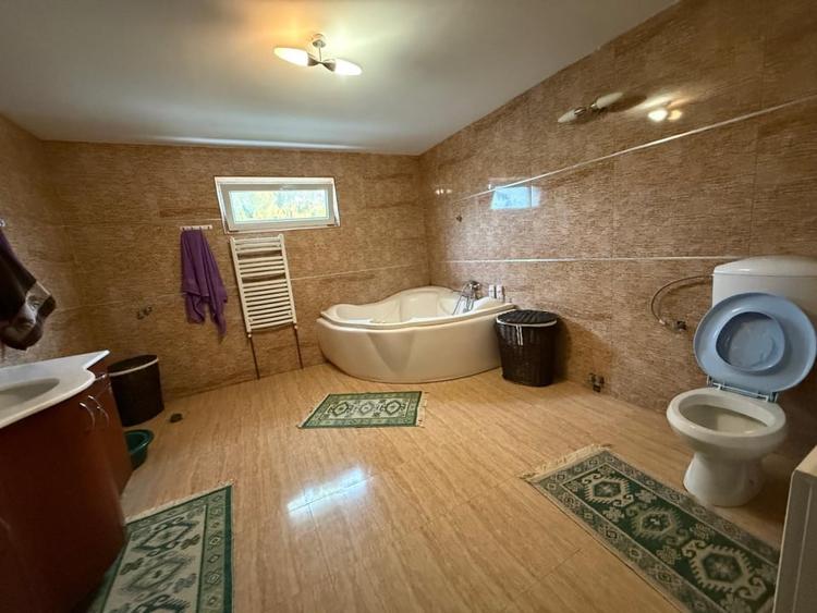 Casa D+P+M, 713 MP teren, 300 MP utili, Carcea, zona Metro - 9