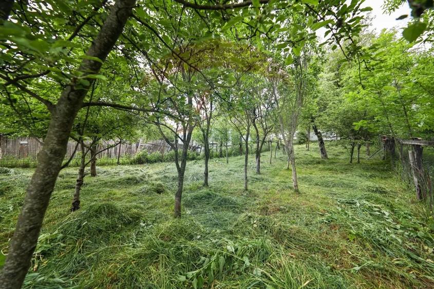 Casă cu 3 camere cu Teren 396 Mp în Ungra