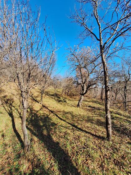 Vand teren la Sibiel - 2