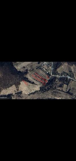 Vand Teren intravilan Chinteni - Padureni 2000 mp - 5