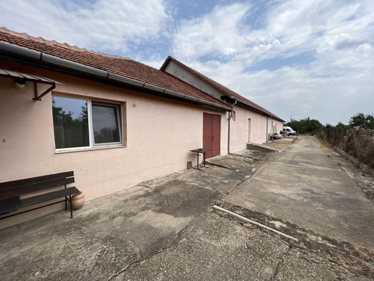 2 case, hala depozitare, teren 3785 mp - 2 F.S. - 22 m, pe malul Begai - 6