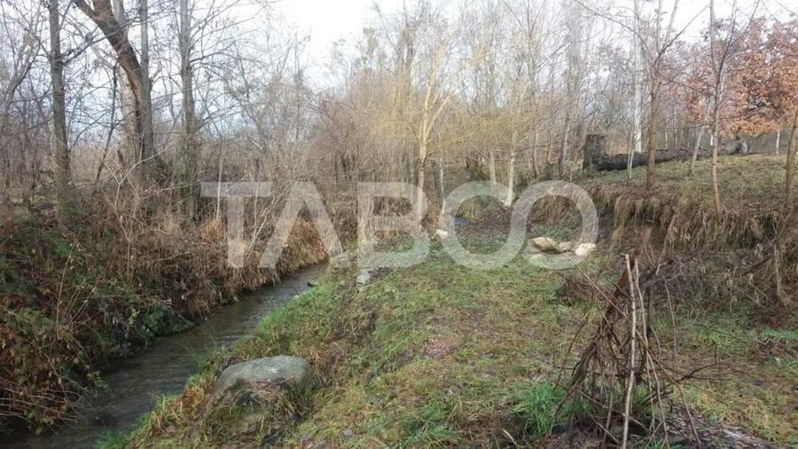 Teren intravilan 8000 mp cu anexa gospodareasca in Vistisoara - 5