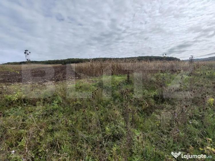 Teren intravilan de vanzare - 1