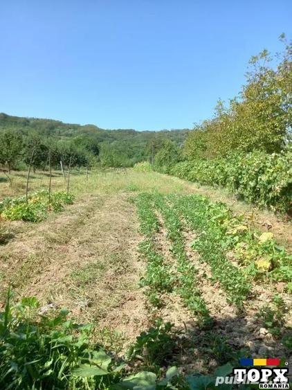 Casa tip boiereasca suprafa?a construita182 metri patra?i si teren 1800 in Arge? - 9