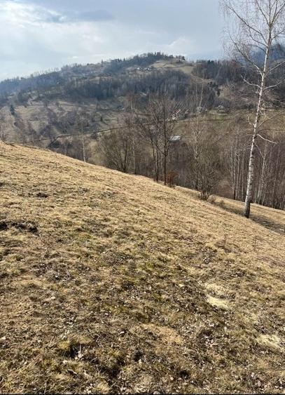 Vanzare Teren cu Punct de Belvedere in Moieciu zona Magura-Pestera - 10